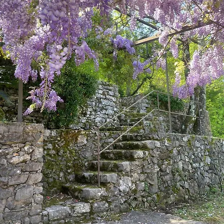 Willa Dimora Bosco Sul Blu