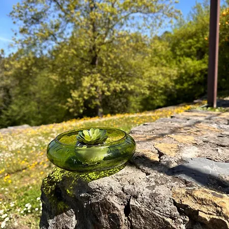 Dimora Bosco Sul Blu