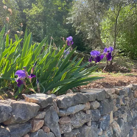 Dimora Bosco Sul Blu Zanego