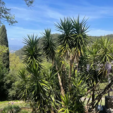 Willa Dimora Bosco Sul Blu Zanego
