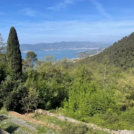 Dimora Bosco Sul Blu Villa *